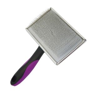 Carda con púa protegida